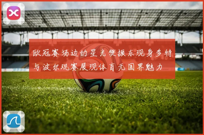 欧冠赛场边的星光樊振东现身多特与波尔观赛展现体育无国界魅力